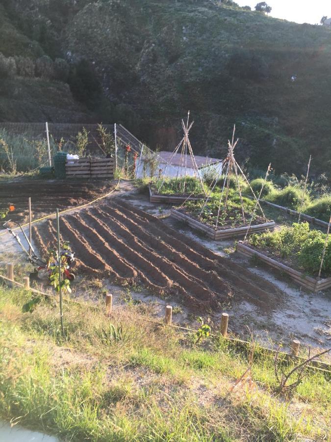 Casa Natura 40 Parghelia Esterno foto