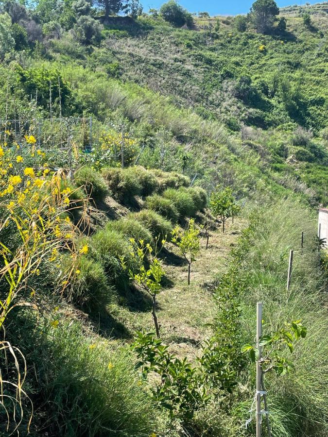 Casa Natura 40 Parghelia Esterno foto