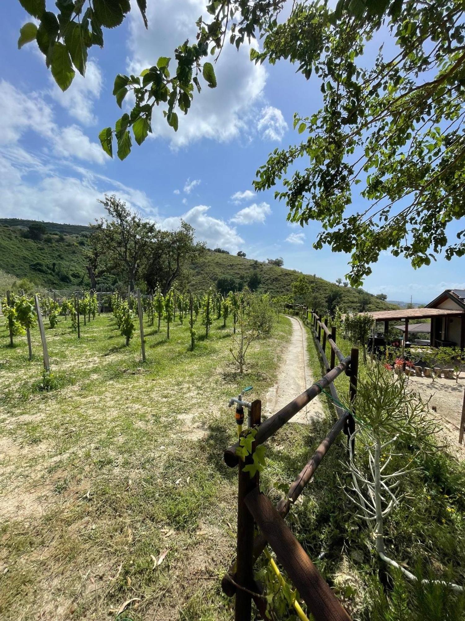 Casa Natura 40 Parghelia Esterno foto